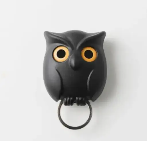 Magnetic Owl Key Holder